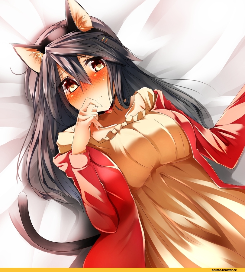 Haruna (Kantai Collection), Kantai Collection, Tsukui Kachou, Anime Art, neko, Animal Ears, Anime