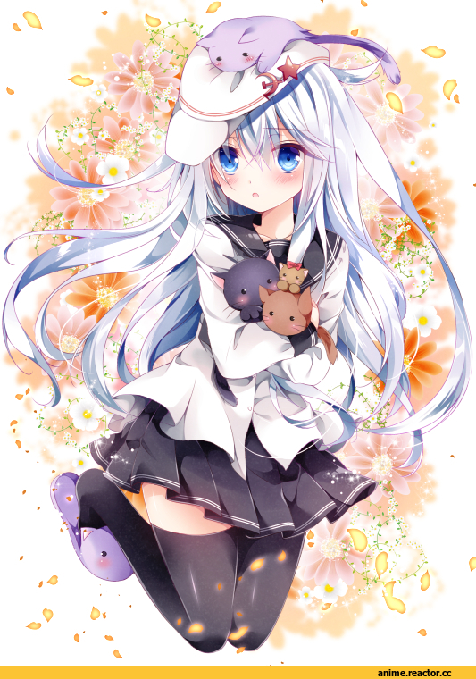 Verniy, Kantai Collection, Nogi Takayoshi, Anime