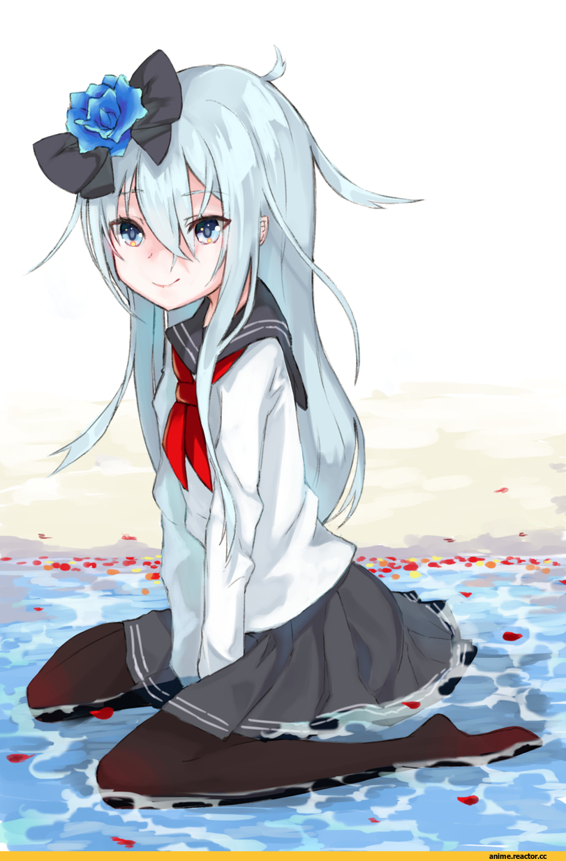 Hibiki (Kantai Collection), Kantai Collection, Magukappu, Anime