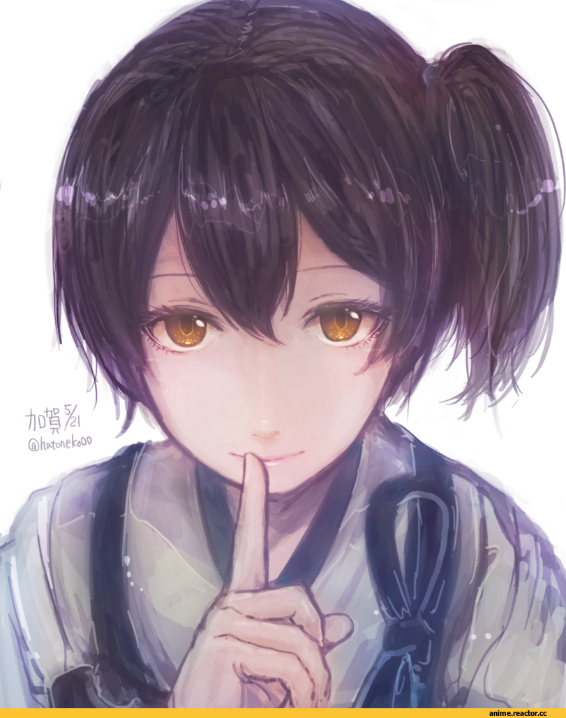 Kantai Collection, Kaga (Kantai Collection), hatoneko, Anime