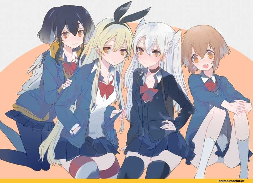 Amatsukaze (Kantai Collection), Kantai Collection, shimakaze (kantai collection), Tokitsukaze (Kantai Collection), Yukikaze (Kantai Collection), Anime
