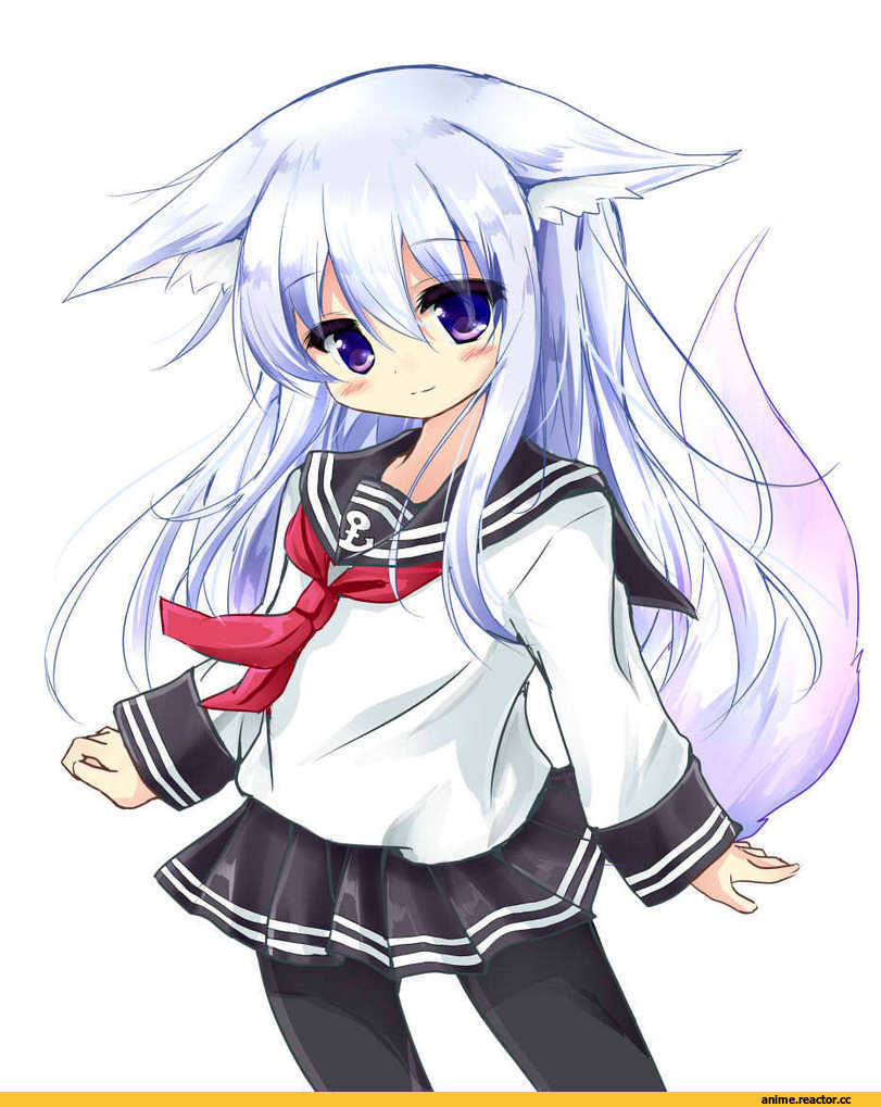 Ikazuchi, Kantai Collection, Inazuma (Kantai Collection), kouda suzu, Hibiki (Kantai Collection), Inumimi, Animal Ears, Anime