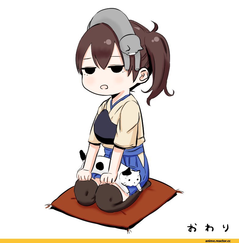 Kaga (Kantai Collection), Kantai Collection, Anime