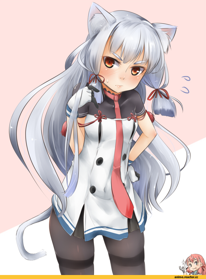 Murakumo, Kantai Collection, Akashi (Kantai Collection), nekomimi, Animal Ears, akino shuu, Anime