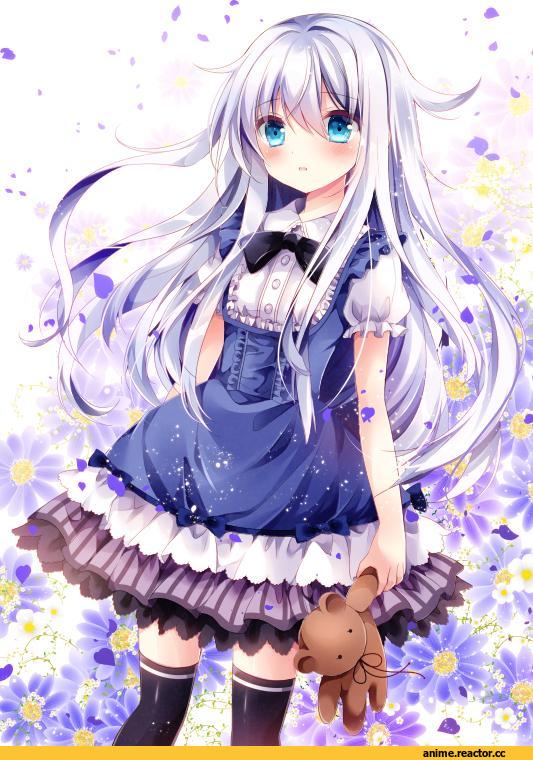Nogi Takayoshi, Hibiki (Kantai Collection), Kantai Collection, Anime