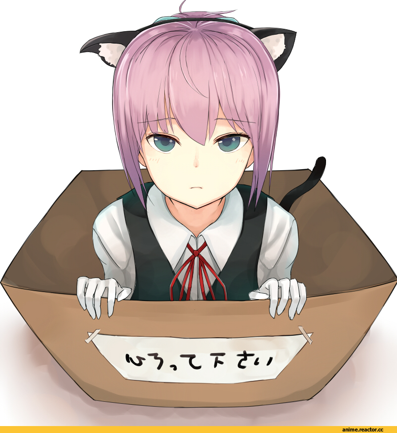 Shiranui (Kantai Collection), Kantai Collection, neko, Animal Ears, Anime Art, guanhian, Anime