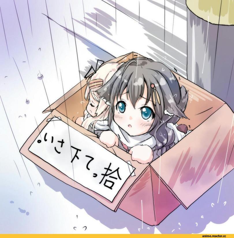 Kantai Collection, Shigure (Kantai Collection), Yuudachi, Tsukineko, Inumimi, Animal Ears, Anime