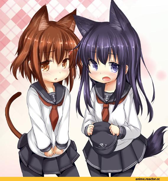 ikazuchi (kantai collection), Kantai Collection, akatsuki (kantai collection), Inumimi, Animal Ears, neko, inyucchi, Anime