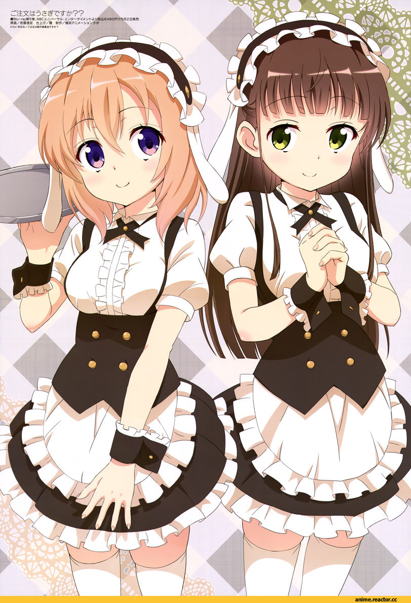 Gochuumon wa Usagi Desu ka?, hoto cocoa, ujimatsu chiya, Animal Ears, Usagimimi, Maid, Anime