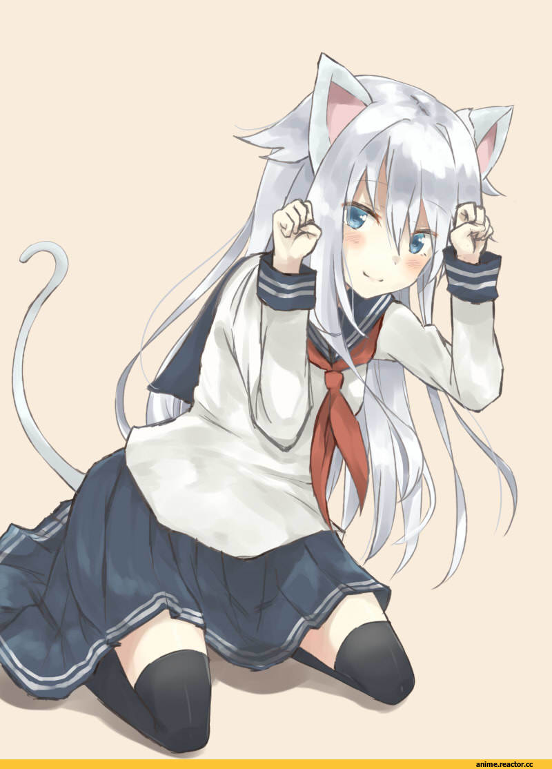 seki (l0410706268), Hibiki (Kantai Collection), Kantai Collection, Zuikaku (Kantai Collection), neko, Animal Ears, Anime