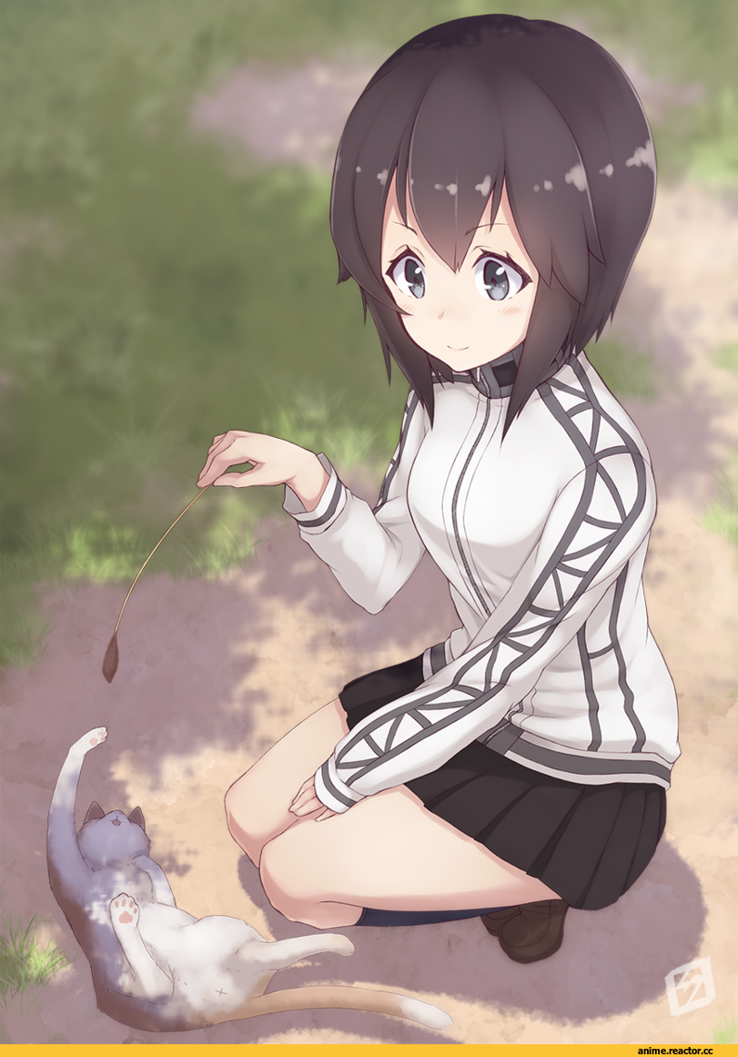 mku, Hayasui (Kantai Collection), Kantai Collection, Anime