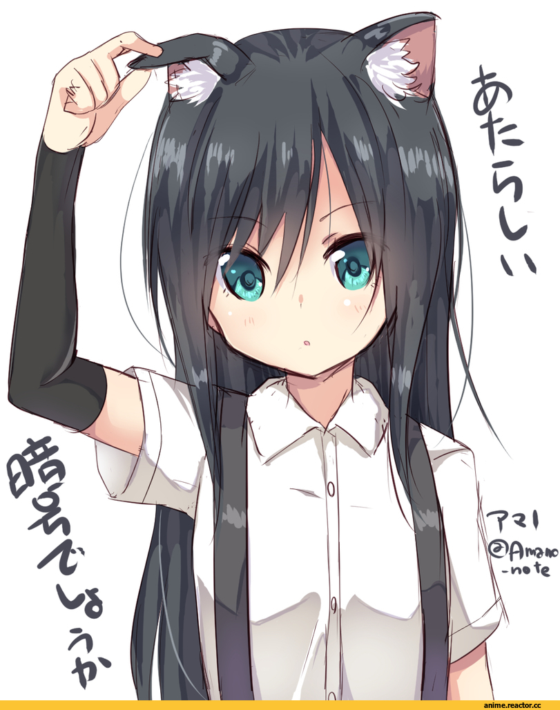 Asashio, Kantai Collection, Animal Ears, nekomimi, Anime