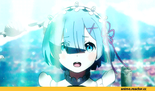 Re Zero Kara Hajimeru Isekai Seikatsu, Rem (re zero), profnote, Anime