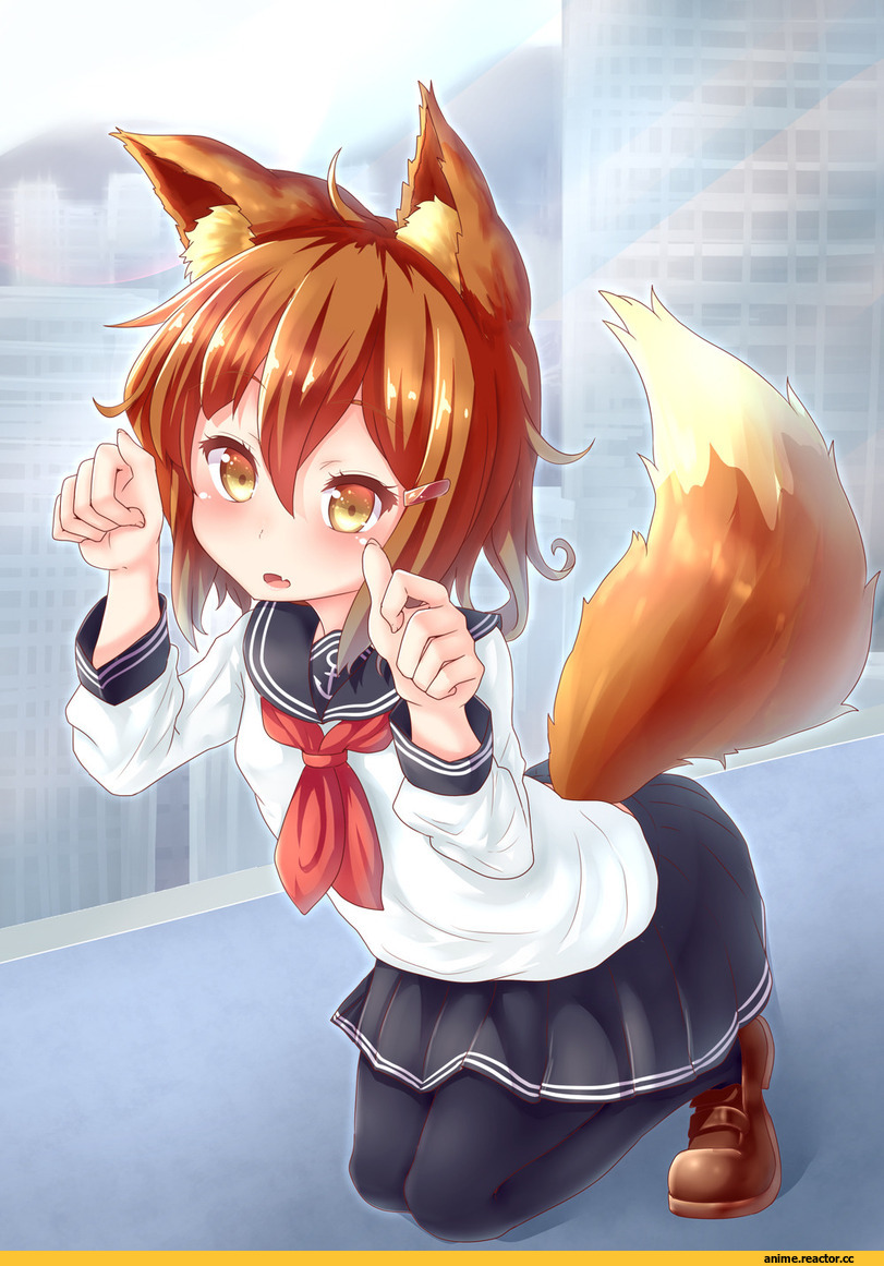 fuzuki ichigo, ikazuchi (kantai collection), Kantai Collection, Kitsune, Animal Ears, Anime
