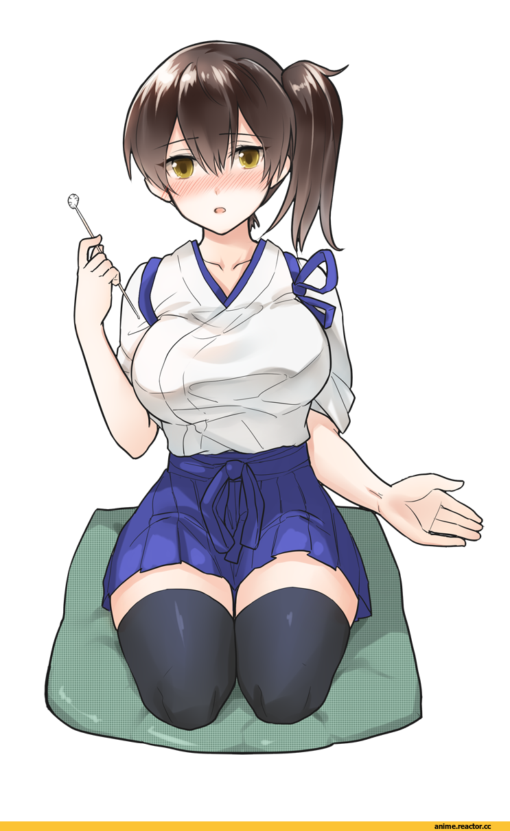 Fukuroumori, Kaga (Kantai Collection), Kantai Collection, Akagi (Kantai Collection), Anime