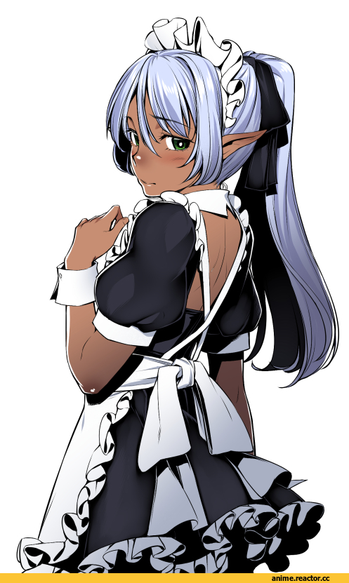 H Kasei, Maid, Anime