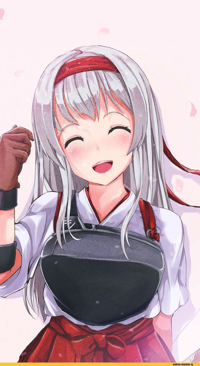 Shoukaku (Kantai Collection), Kantai Collection, Anime