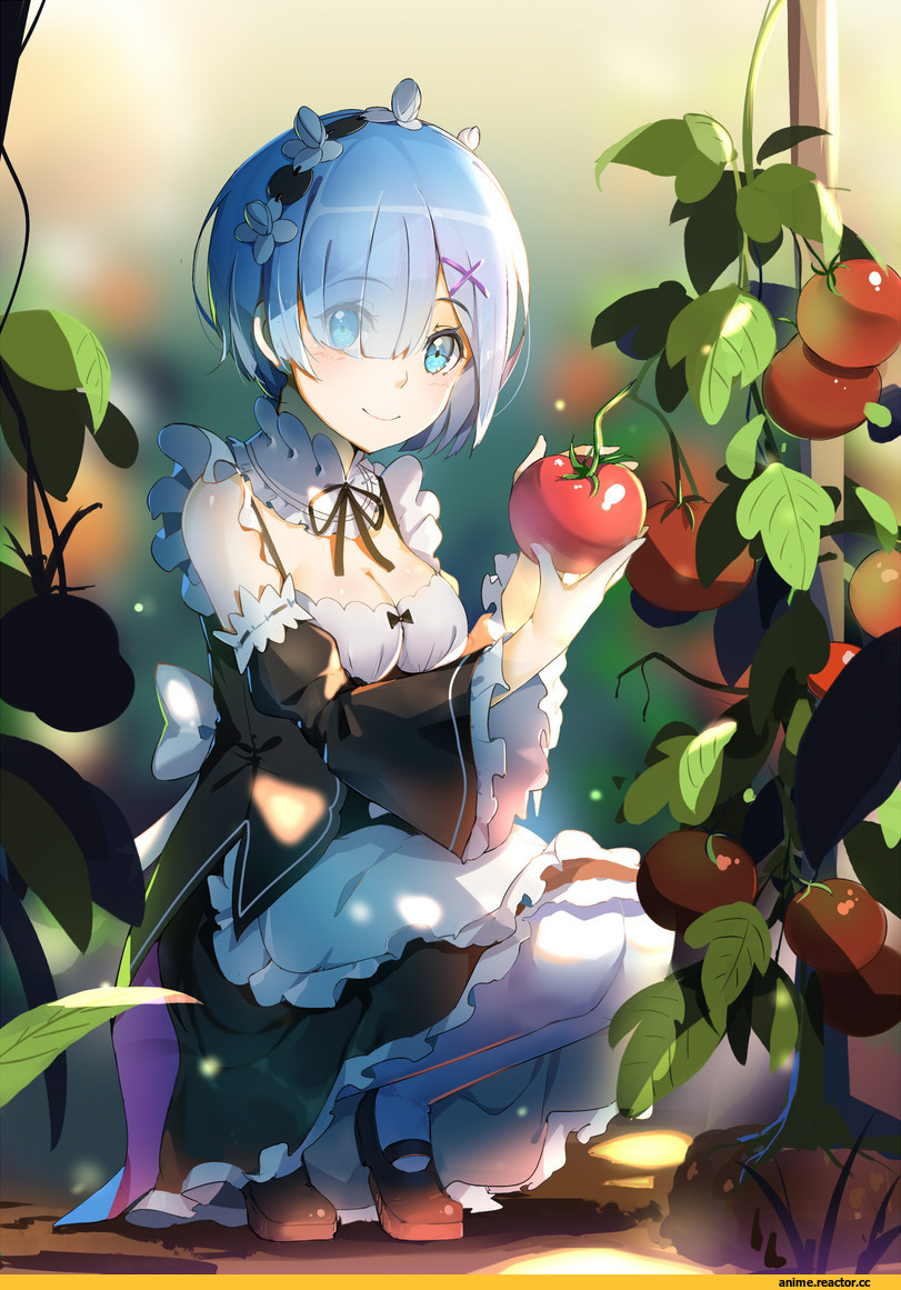lu", Ram (Re Zero), Re Zero Kara Hajimeru Isekai Seikatsu, Rem (re zero), Anime