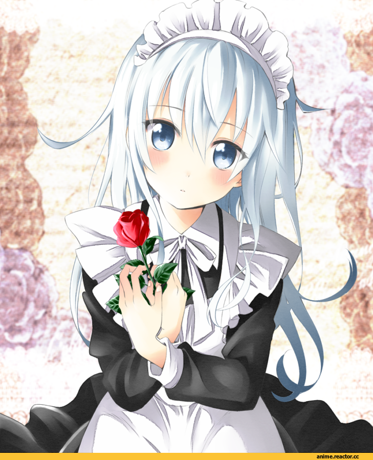 Hibiki (Kantai Collection), Kantai Collection, Anime