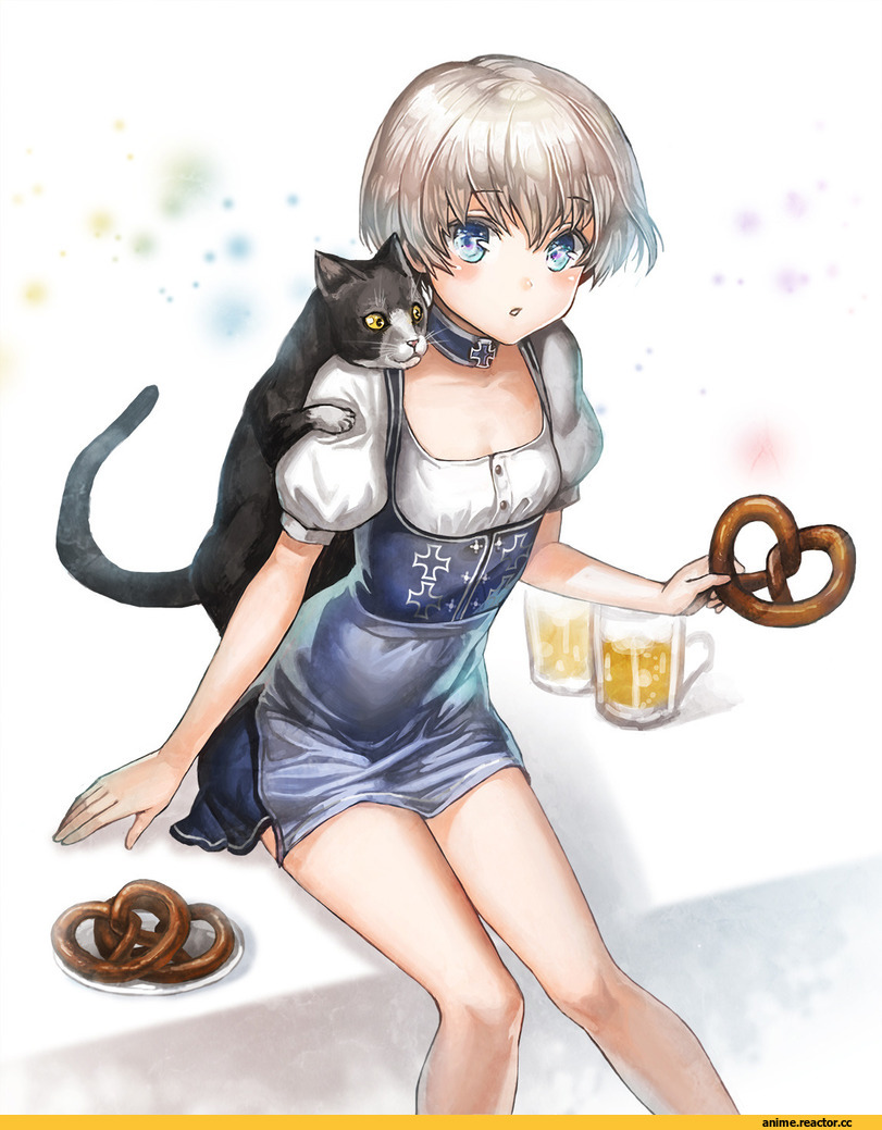unsinkable sam, Z1 Leberecht Maass (Kantai Collection), Kantai Collection, DEro, Anime