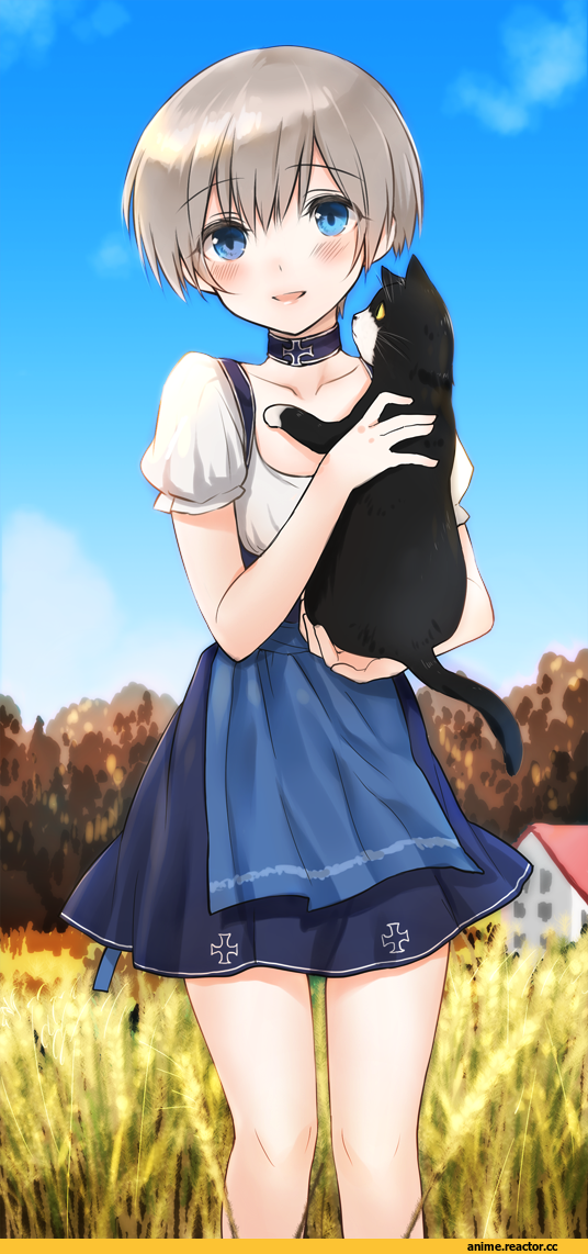 unsinkable sam, Fukuroumori, Z1 Leberecht Maass (Kantai Collection), Kantai Collection, Anime