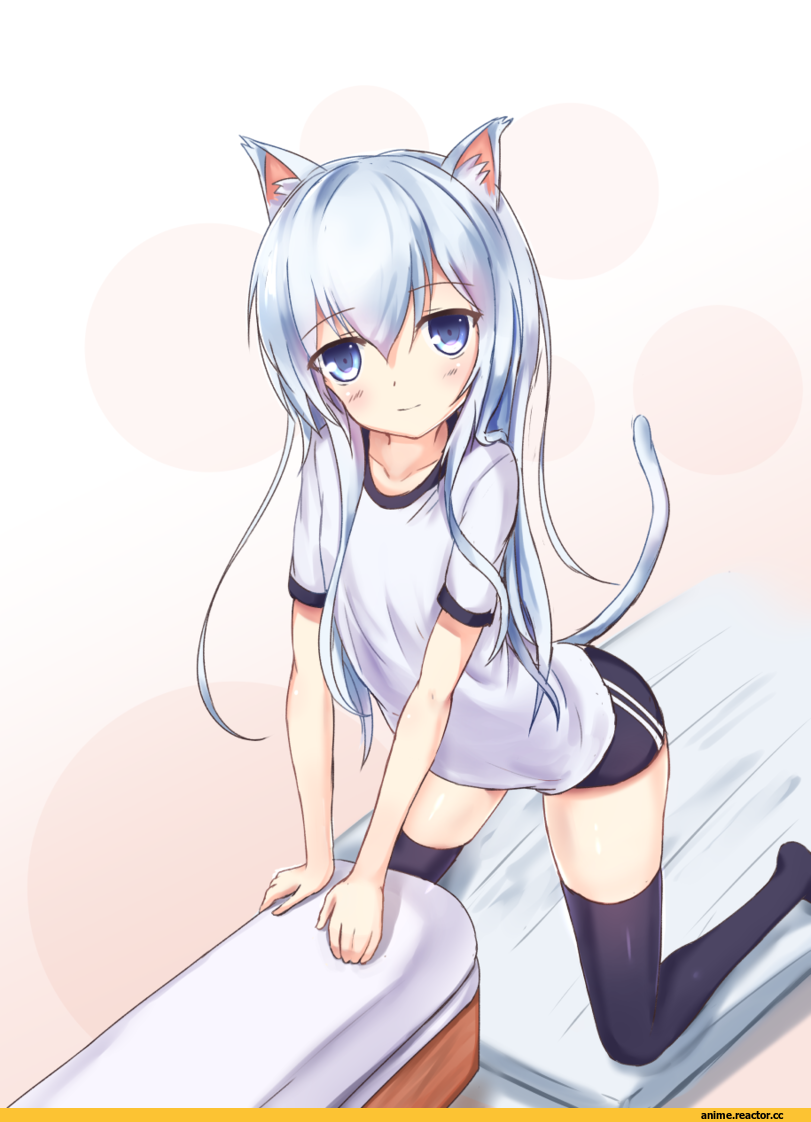 Shuu Hibame, hibiki, Kantai Collection, nekomimi, Animal Ears, Anime