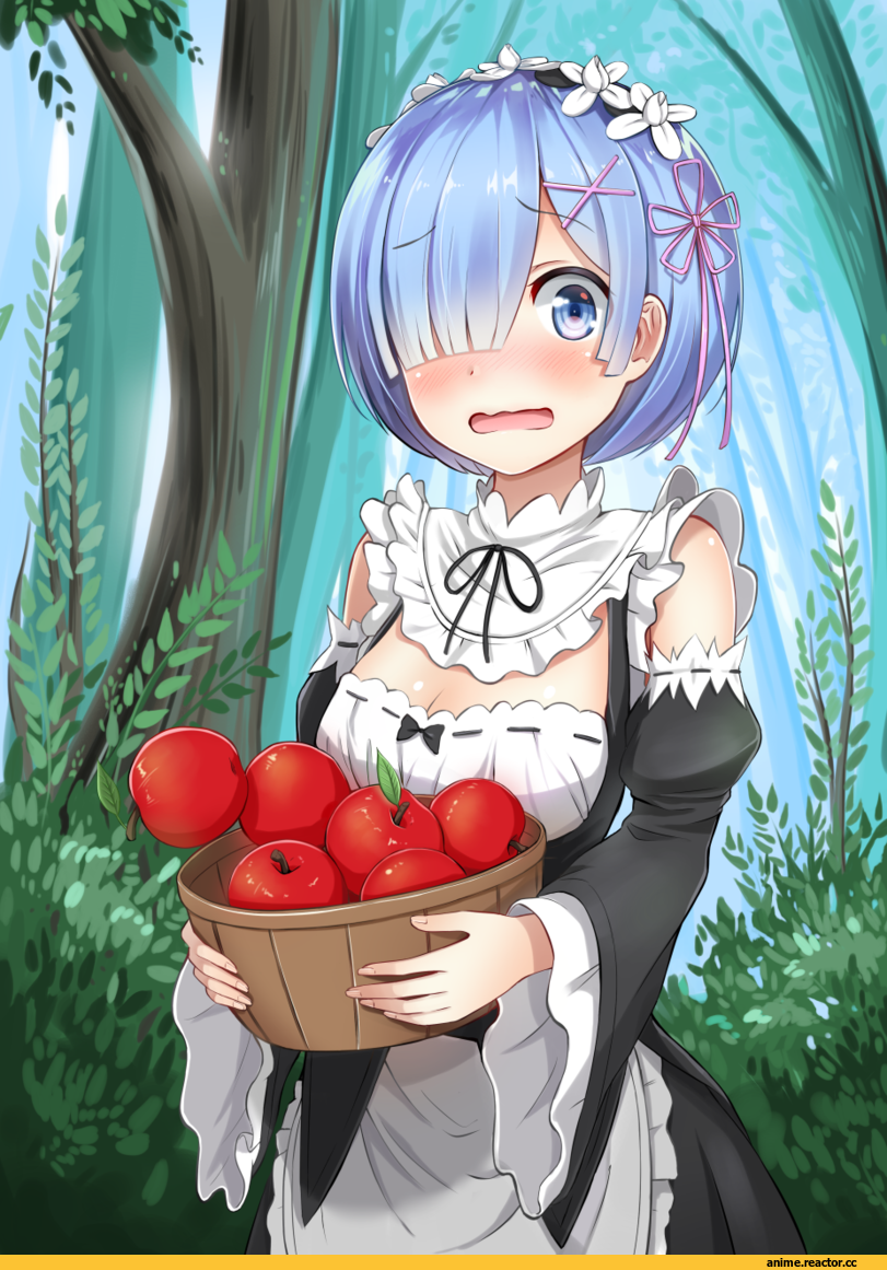 SuperPig, Rem (re zero), Re Zero Kara Hajimeru Isekai Seikatsu, Anime