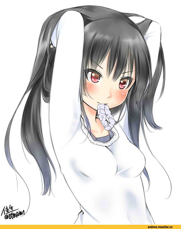Isokaze (Kantai Collection), Kantai Collection, Anime