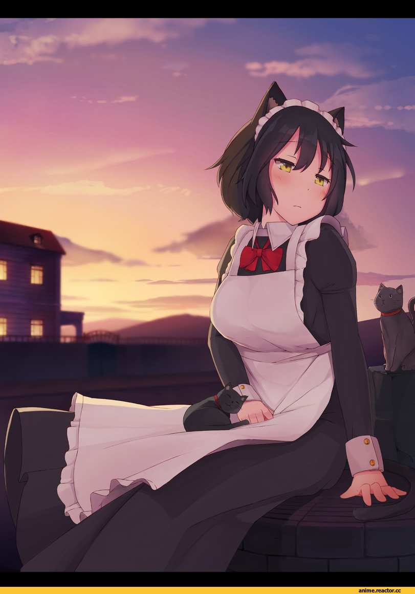 Arapi, AO, Anime Art, Maid, Animal Ears, neko, Anime