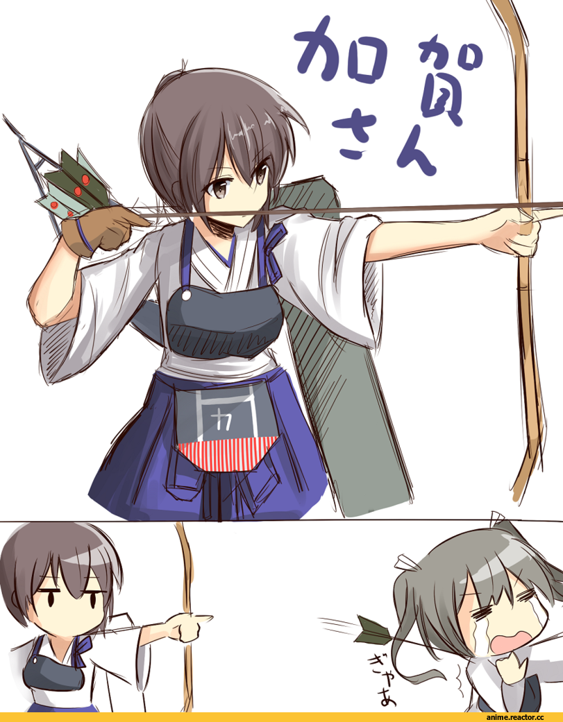 Kaga (Kantai Collection), Kantai Collection, Zuikaku (Kantai Collection), Anime