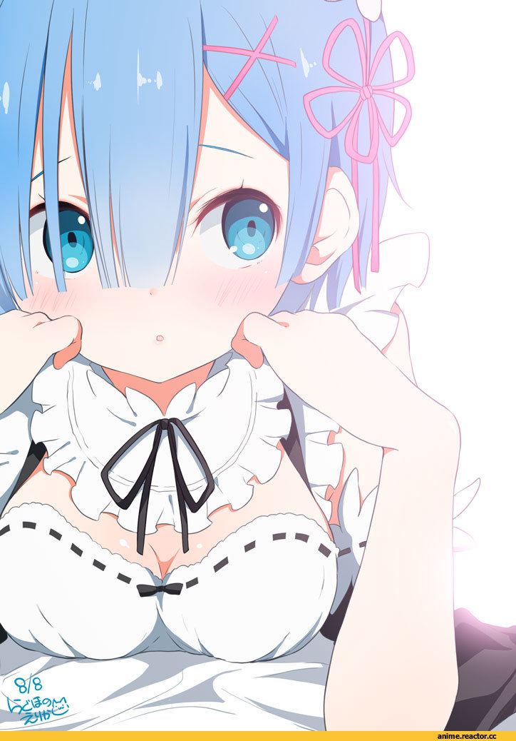 Rem (re zero), Re Zero Kara Hajimeru Isekai Seikatsu, ragho no erika, Anime