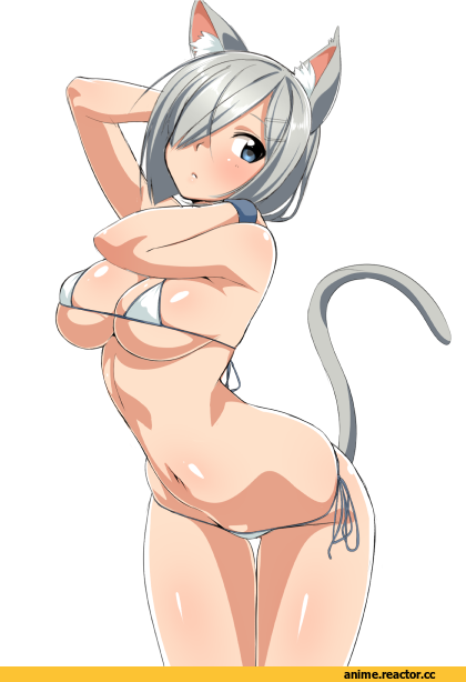 chikuishi, hamakaze, Kantai Collection, Anime Ero Swim, Anime Ero, nekomimi, Animal Ears, Anime