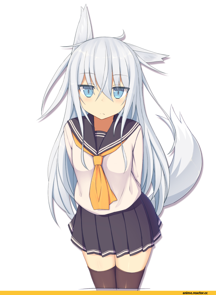 Hibiki (Kantai Collection), Kantai Collection, Kitsune, Animal Ears, abekawa mochi, Anime