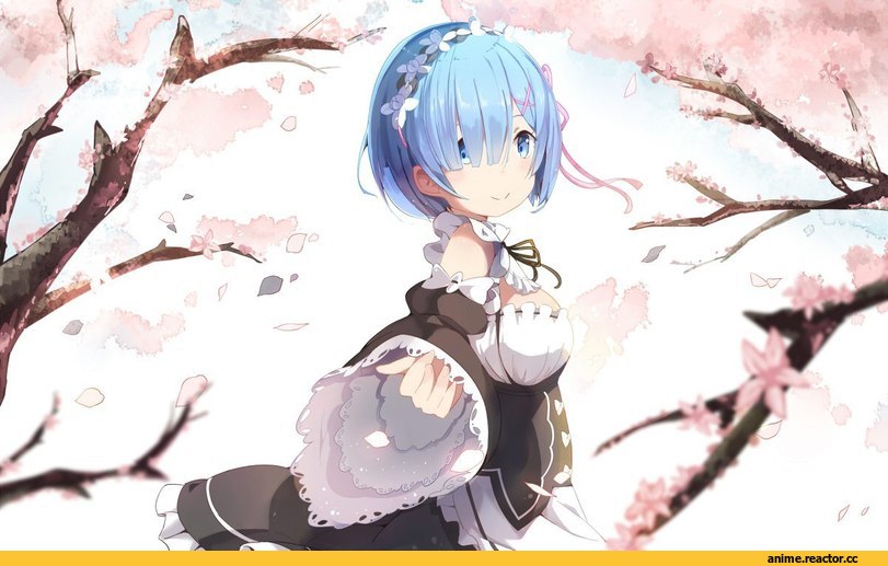 Rem (re zero), Re Zero Kara Hajimeru Isekai Seikatsu, Anime