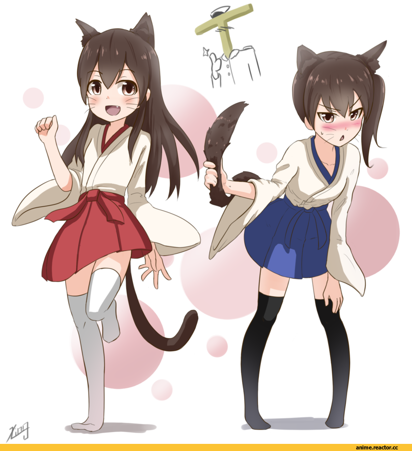 Admiral (Kantai Collection), Kantai Collection, bu li, kaga, Akagi, nekomimi, Animal Ears, t-head admiral, Anime