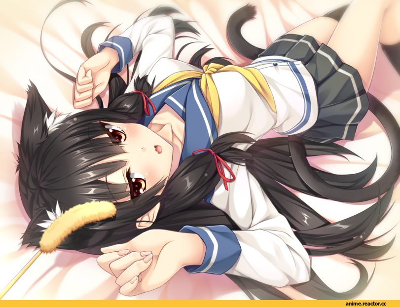 Isokaze (Kantai Collection), Kantai Collection, Animal Ears, moeki yuuta, Anime