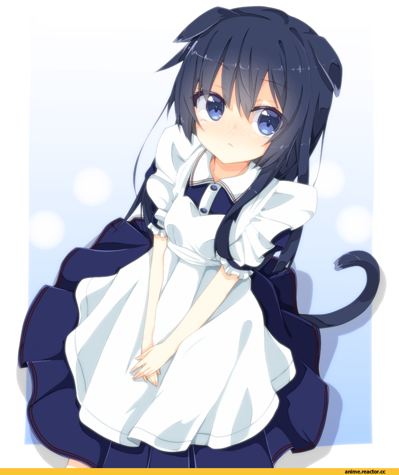 rateratte, Akatsuki, Kantai Collection, nekomimi, Animal Ears, Anime
