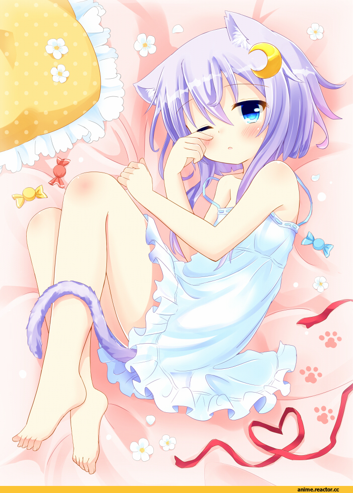 Yayoi (Kantai Collection), Kantai Collection, nekomimi, Animal Ears, Anime