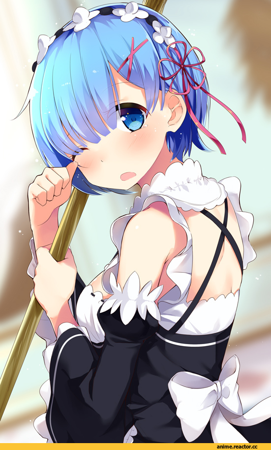 Rem (re zero), Re Zero Kara Hajimeru Isekai Seikatsu, wakaba, Anime