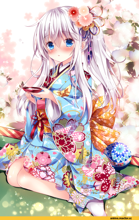Hibiki (Kantai Collection), Kantai Collection, Anime