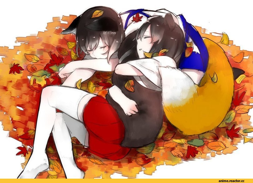 shuu-0208, Kaga (Kantai Collection), Kantai Collection, Akagi (Kantai Collection), Kitsune, Animal Ears, Anime