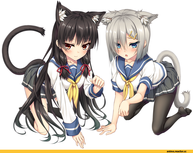 Hamakaze (Kantai Collection), Kantai Collection, Isokaze (Kantai Collection), nekomimi, Animal Ears, moeki yuuta, Anime