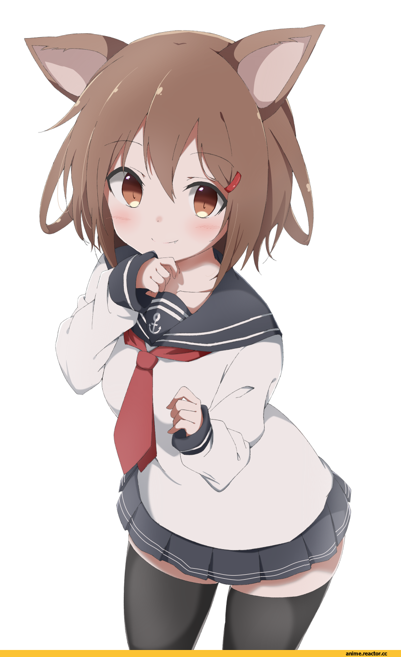 Ikazuchi, Kantai Collection, nekomimi, Animal Ears, koutya, Anime