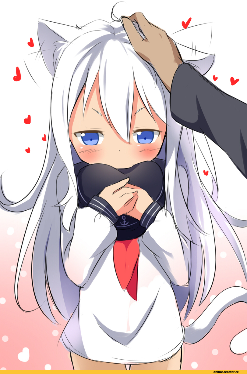 Hibiki (Kantai Collection), Kantai Collection, neko, Animal Ears, Makuran, Anime