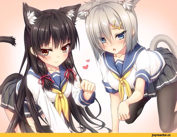 Vanilla, фэндомы, Anime Art, Animal Ears, neko, Chocola, crossover, Hamakaze (Kantai Collection), Kantai Collection, Isokaze (Kantai Collection), Anime, Nekopara, Foreign VN, Визуальные новеллы