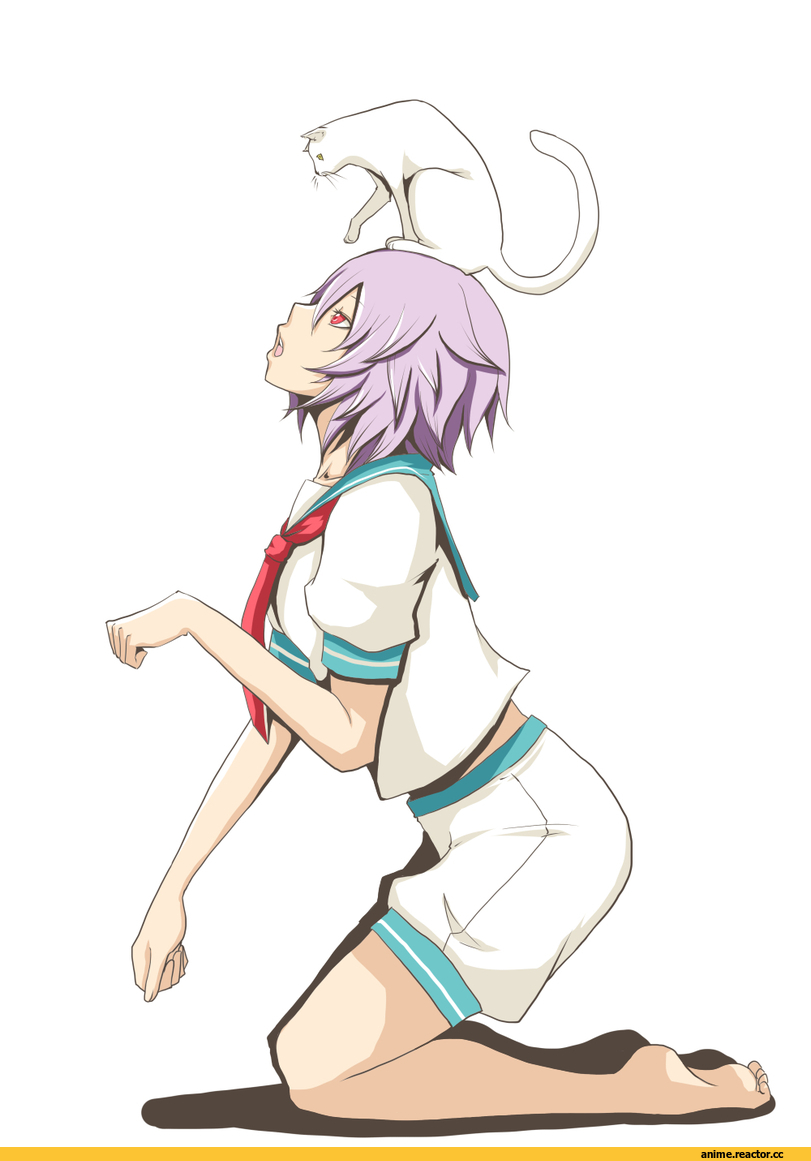Tama (Kantai Collection), Kantai Collection, Anime