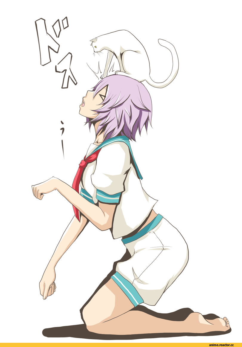 Tama (Kantai Collection), Kantai Collection, Anime