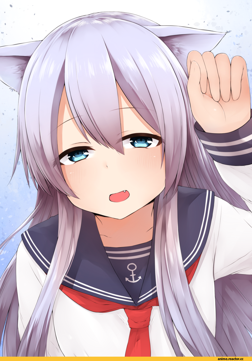 Hibiki (Kantai Collection), Kantai Collection, nekomimi, Animal Ears, akky (akimi1127), Anime