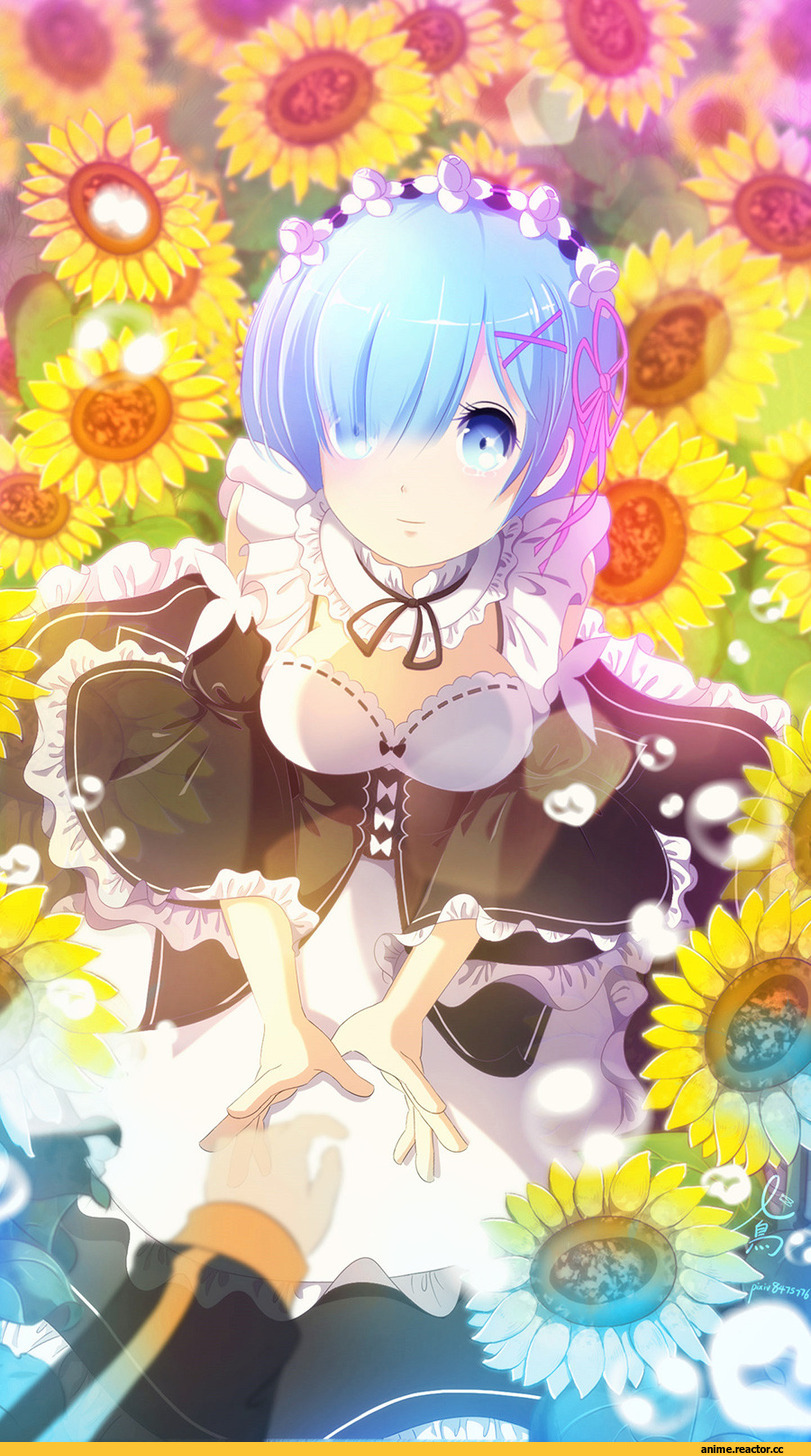 Re Zero Kara Hajimeru Isekai Seikatsu, Rem (re zero), chan yuan, Anime