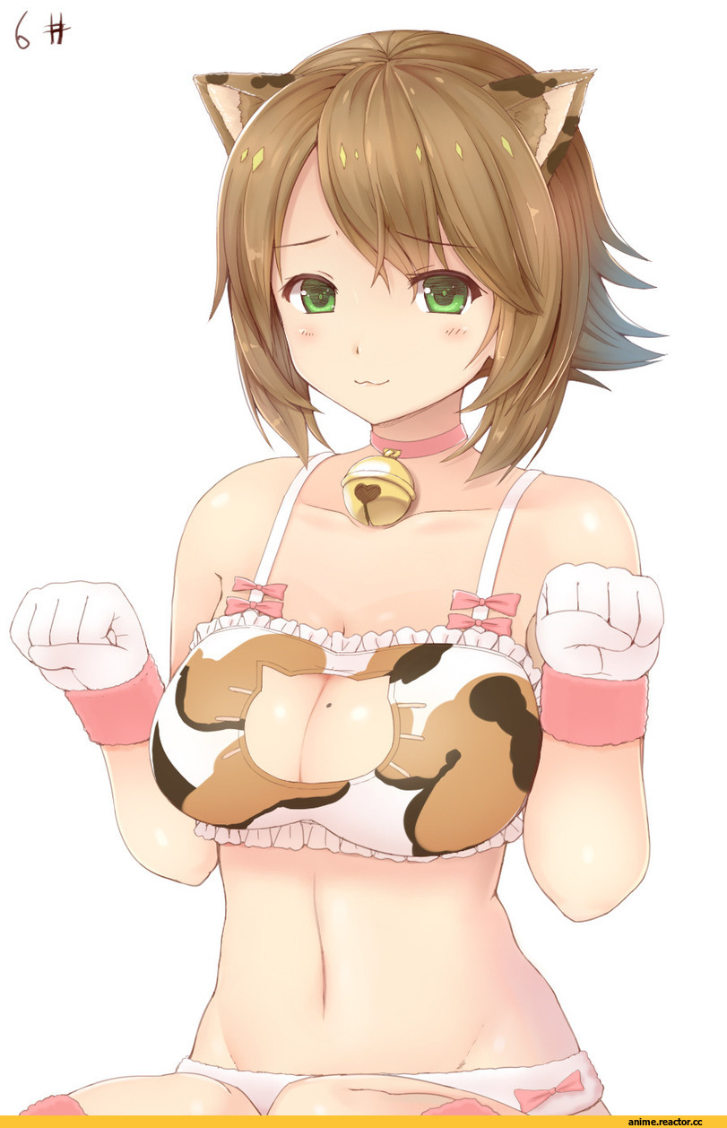 Mutsu, Kantai Collection, Cat Keyhole Bra, Anime Ero, nekomimi, Animal Ears, Anime